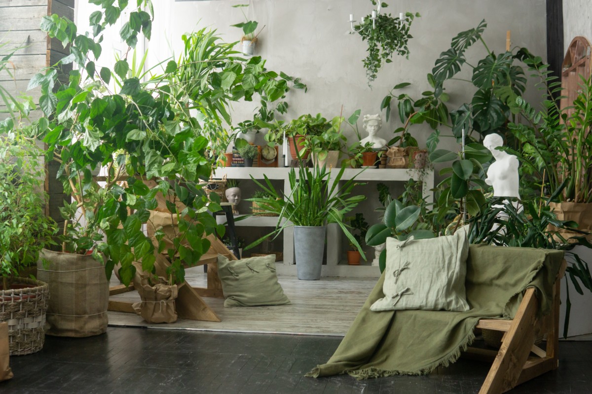 Room interior filled with lush houseplants.