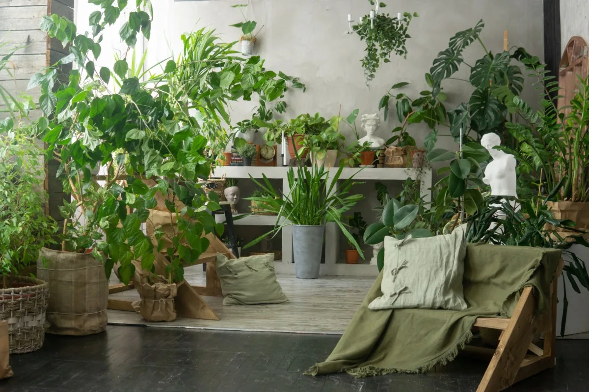 Room interior filled with lush houseplants.