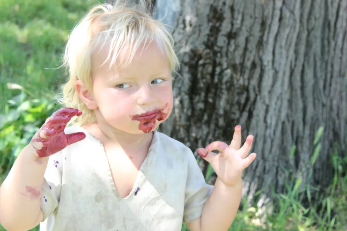 Small child with hands and face covered in mulberry juice.