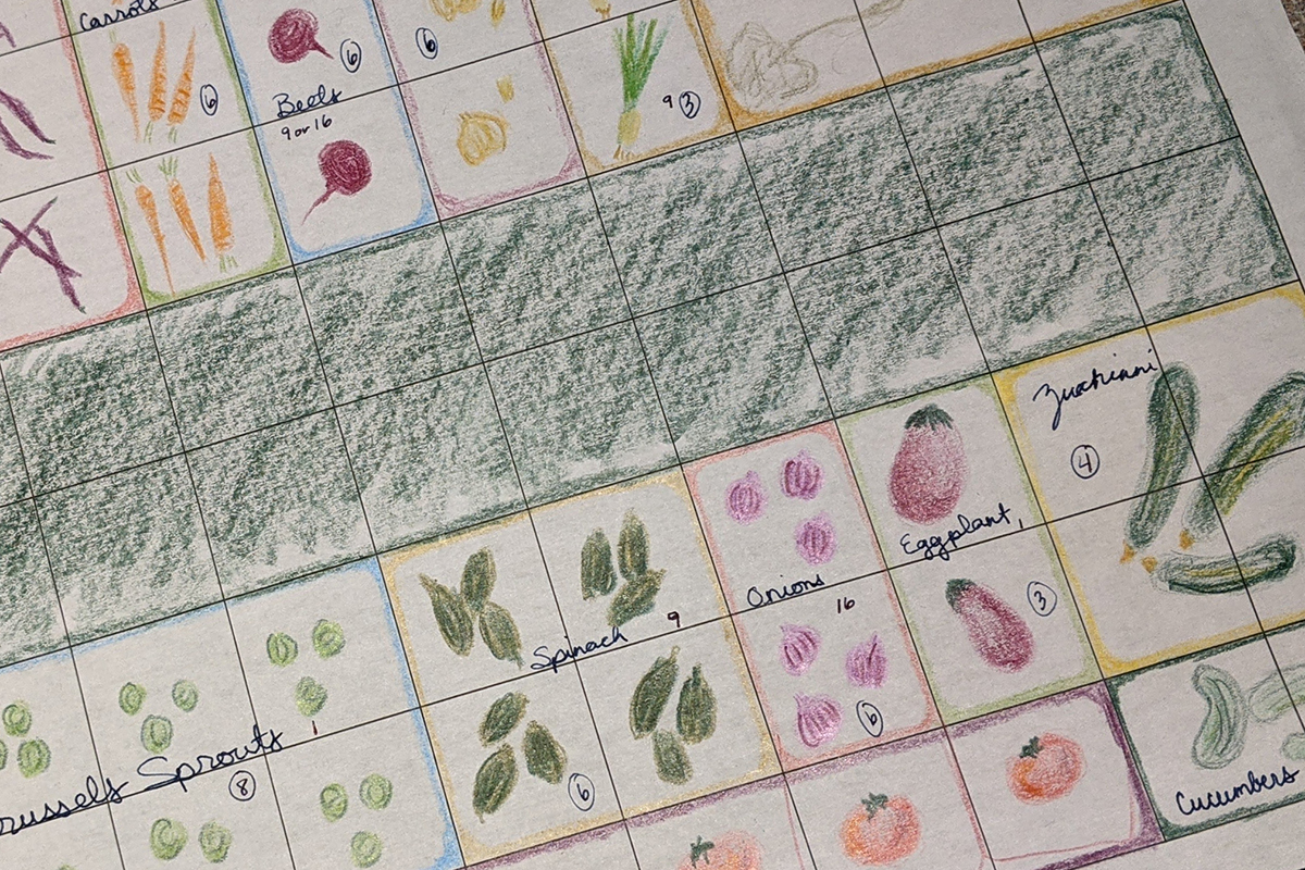 Hand-drawn garden plan with illustrated vegetables.