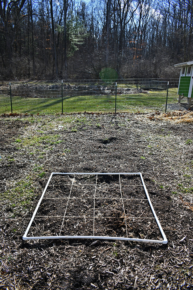 Planting grid in the garden, ready to usefor planting.