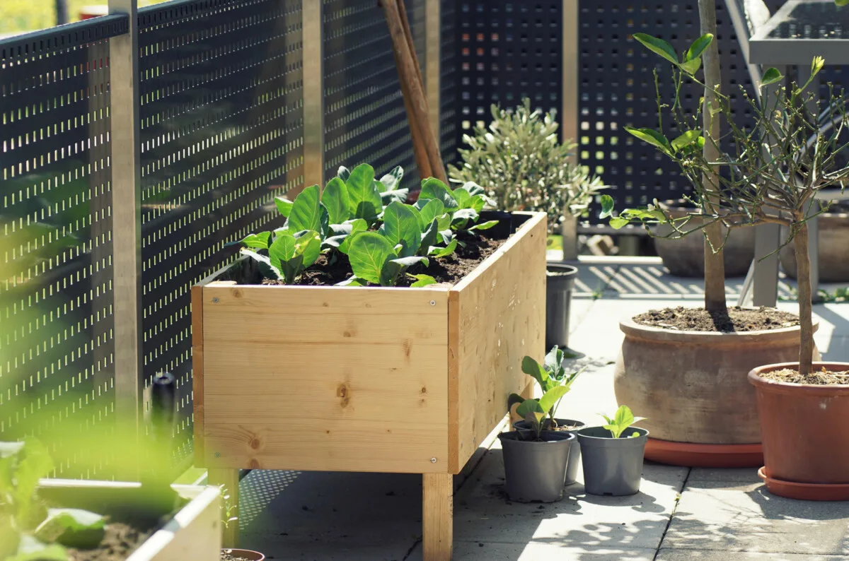 Patio Garden Beds on Concrete or Gravel? Yes! - Durable GreenBed