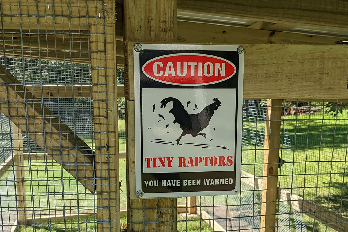 Sign outside chicken run that reads, "Caution, tiny raptors, you have been warned"
