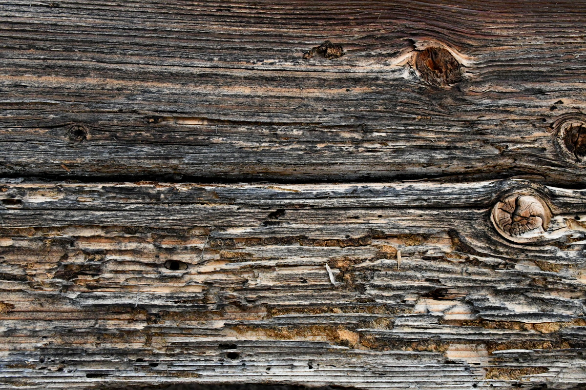 Close up of damaged wood.