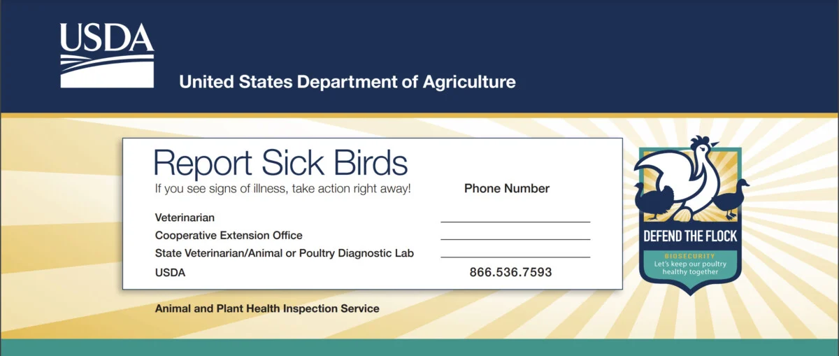 Info graphic from the USDA with sick bird hotline