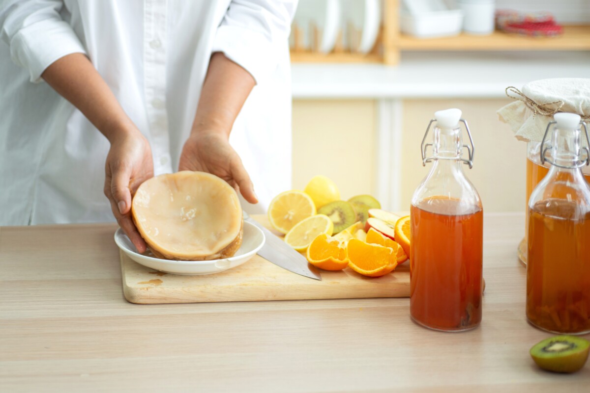 woman's hand holding a SCOBY for kombucha