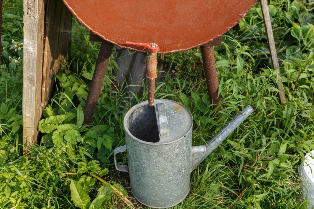 Watering can beneath spigot of rain barrel