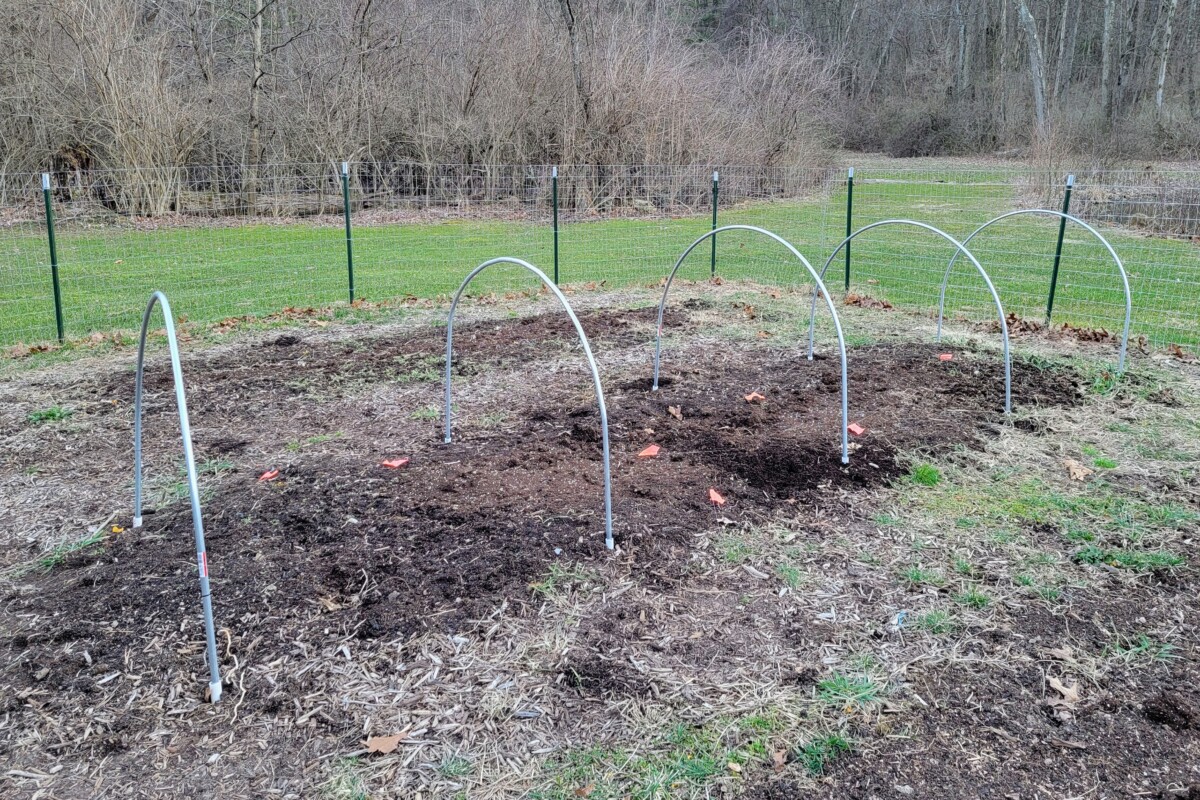 Bent hoops inserted into the ground over a garden bed.
