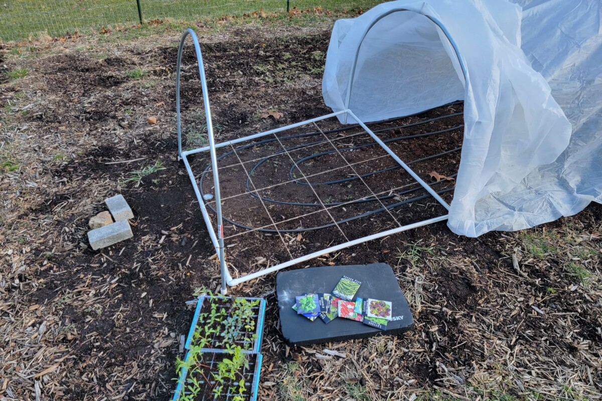 Polytunnel with soaker hose set up on the soil and seedlings and seed packets. 