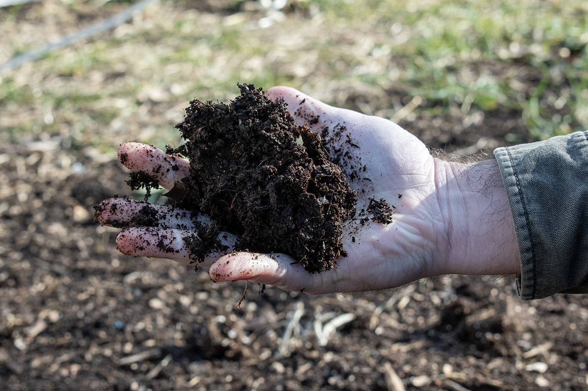 Man's hand holding loamy soil. 