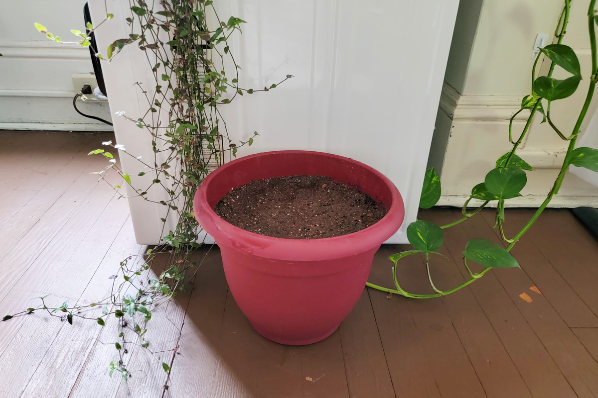 Plant pot with soil and tomato slices on the floor next to a clothes dryer. 