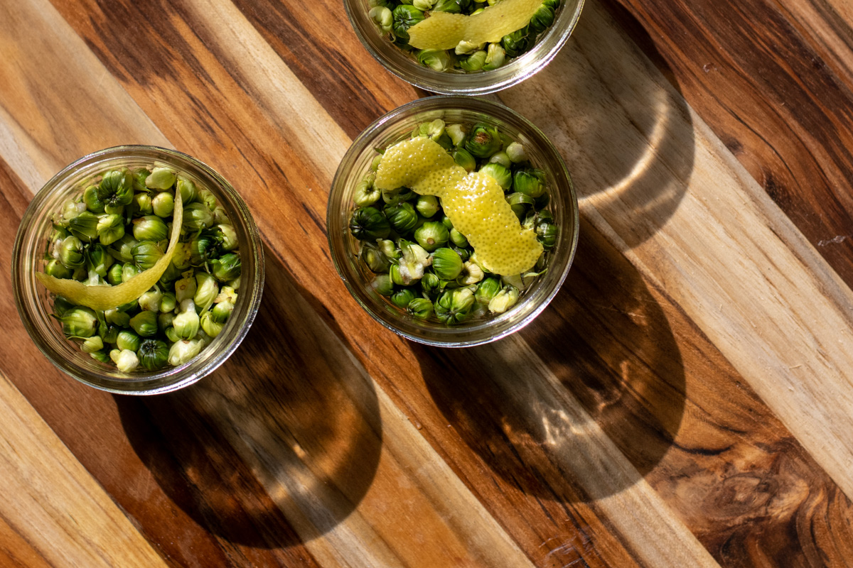 Overhead view of jars packed with dandelion buds and a strip of lemon zest.