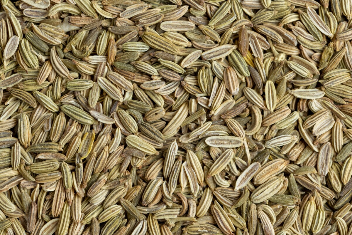 Close up of fennel seeds