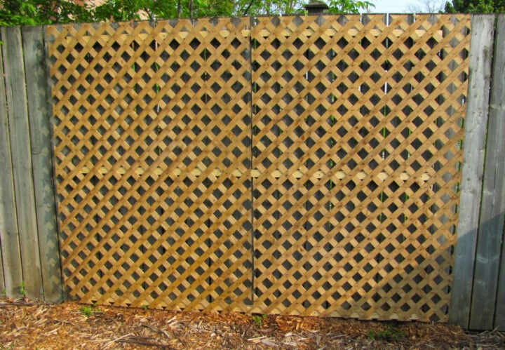 How to Build a Simple Lattice Trellis for Climbing Plants