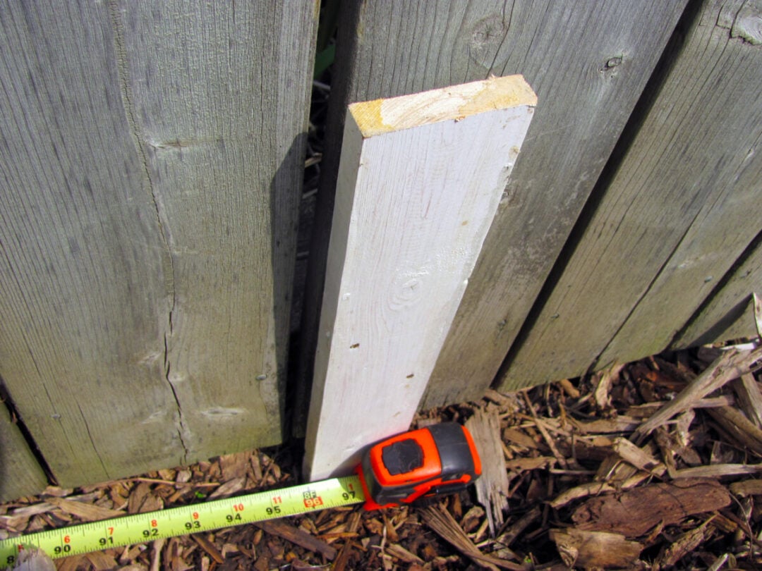 How to Build a Simple Lattice Trellis for Climbing Plants