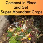 Compost-in-place-lasagna-bed