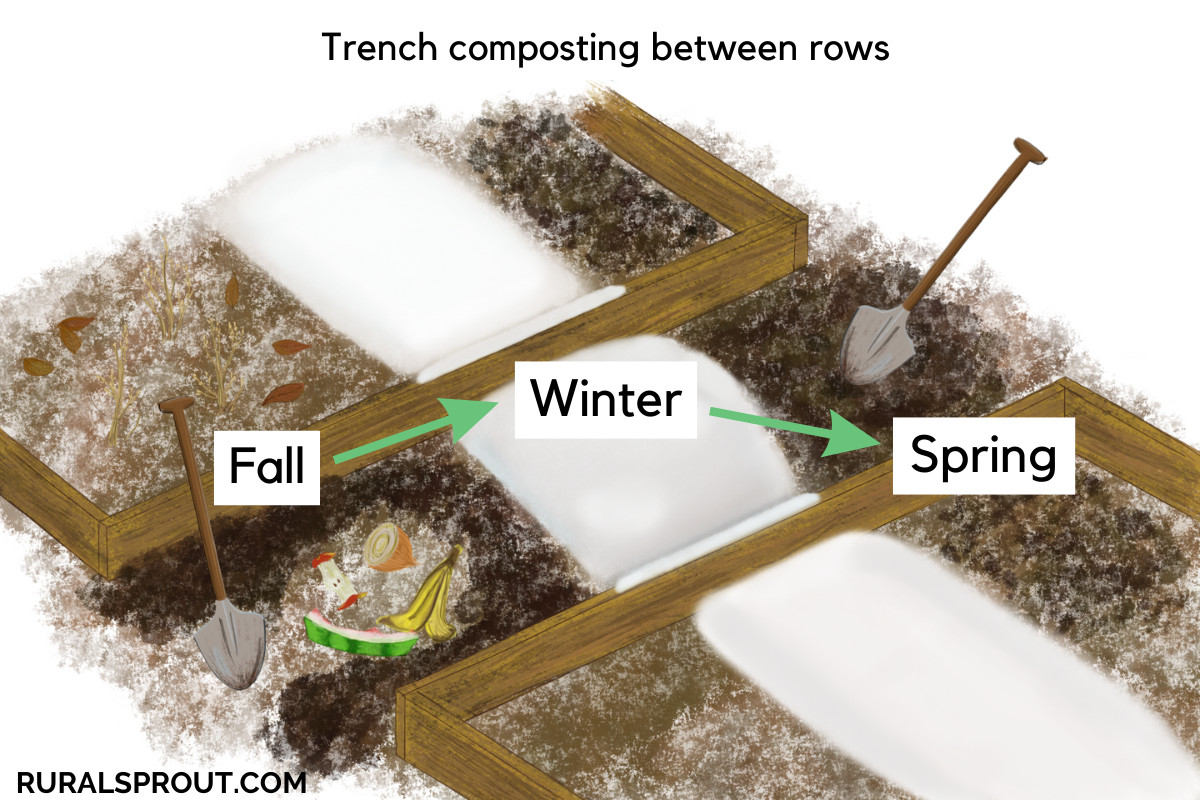 Digital illustration of trench composting between raised bed rows
