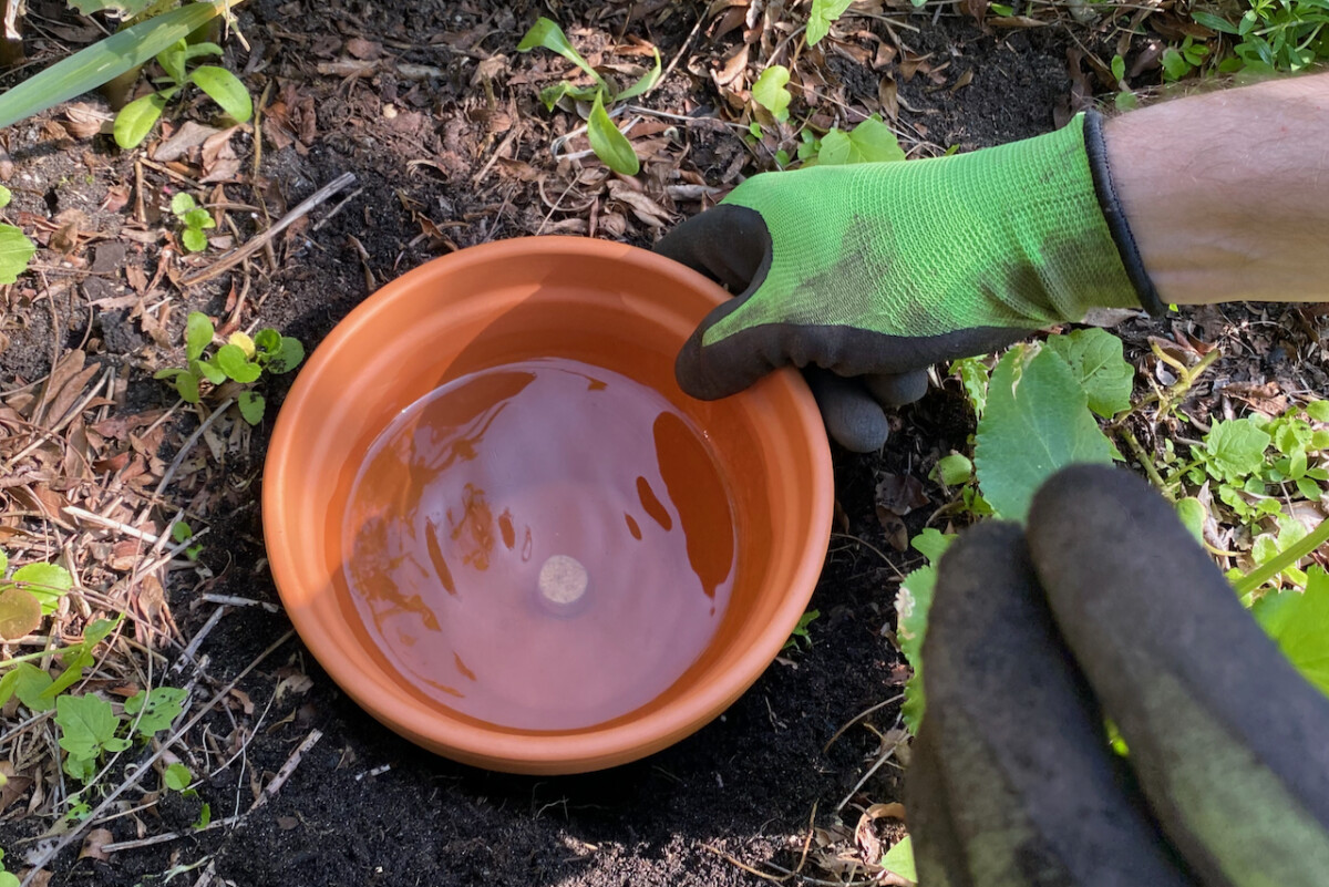 Hand touching the rim of an olla in the garden