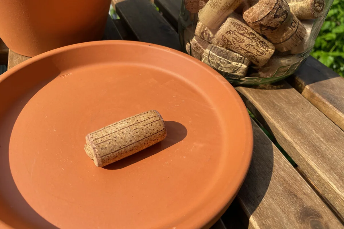 Wine cork sitting on a terracotta saucer