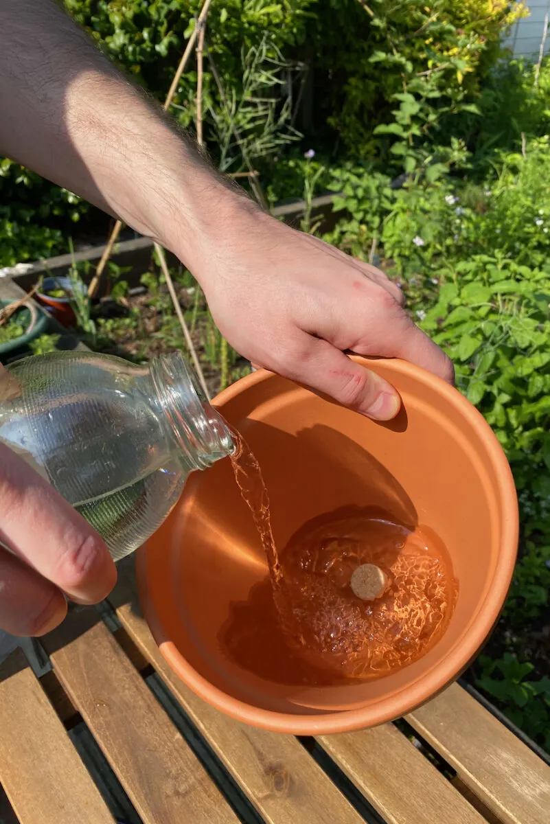 Hand pouring water into sealed terracotta pot