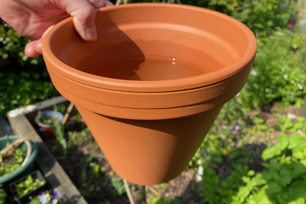 Hand holding pot filled with water