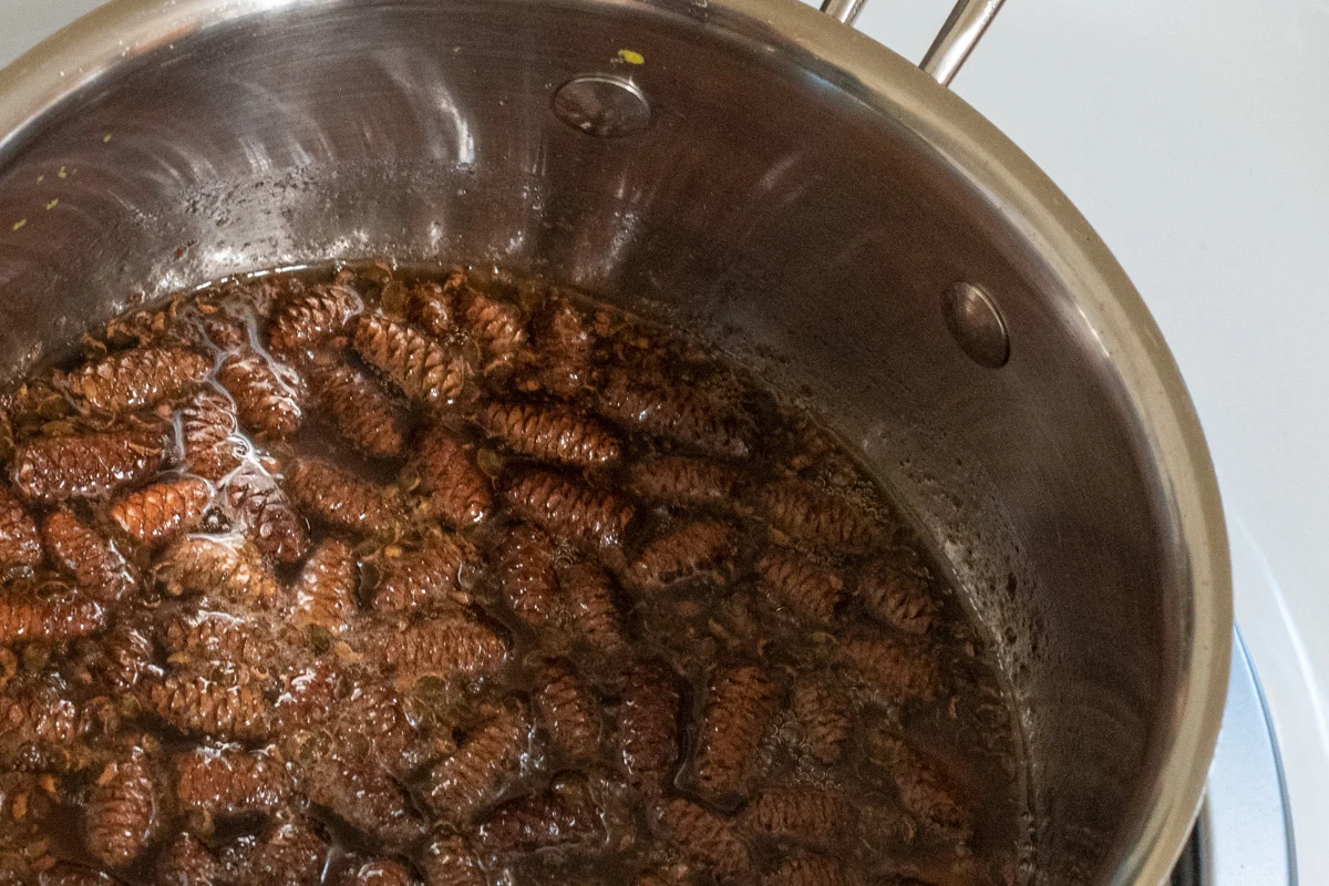 Saucepan with pine cone syrup simmering.