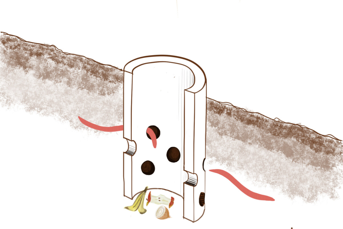 Digital drawing of a compost vessel buried below the ground with worms entering it to access kitchen scraps