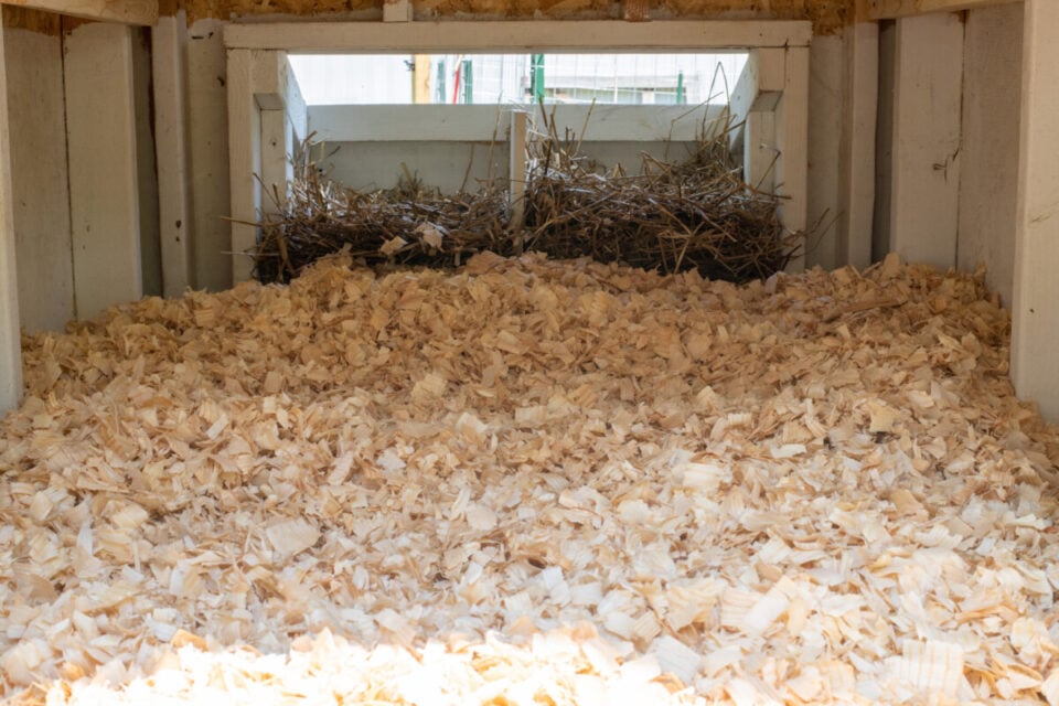 How to Use The Deep Litter Method In Your Chicken Coop