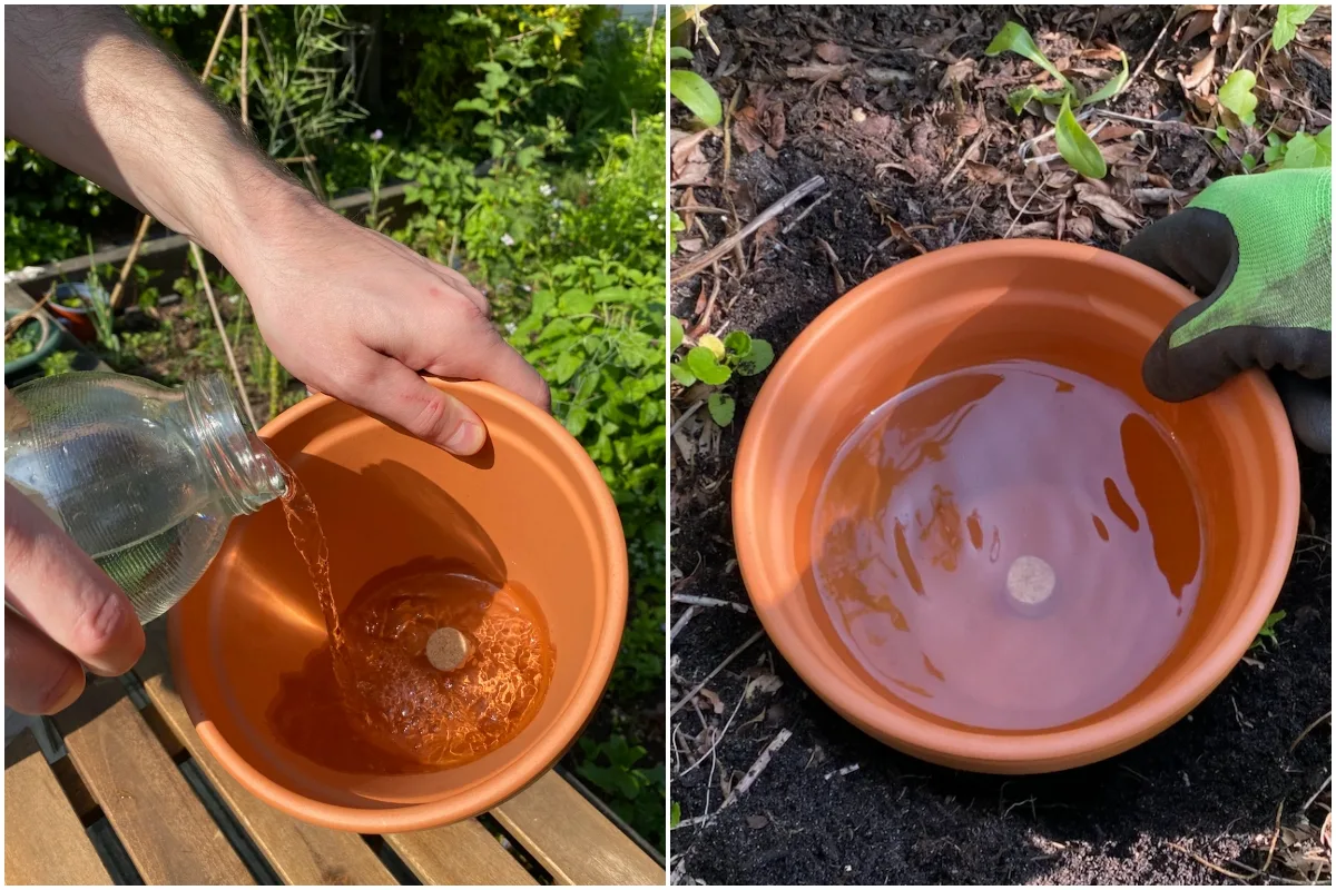 Photo collage, person pouring water into a terracotta olla, water in an olla 