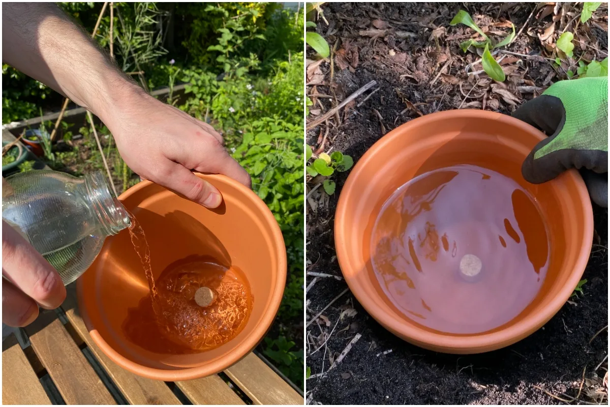 Photo collage, person pouring water into a terracotta olla, water in an olla