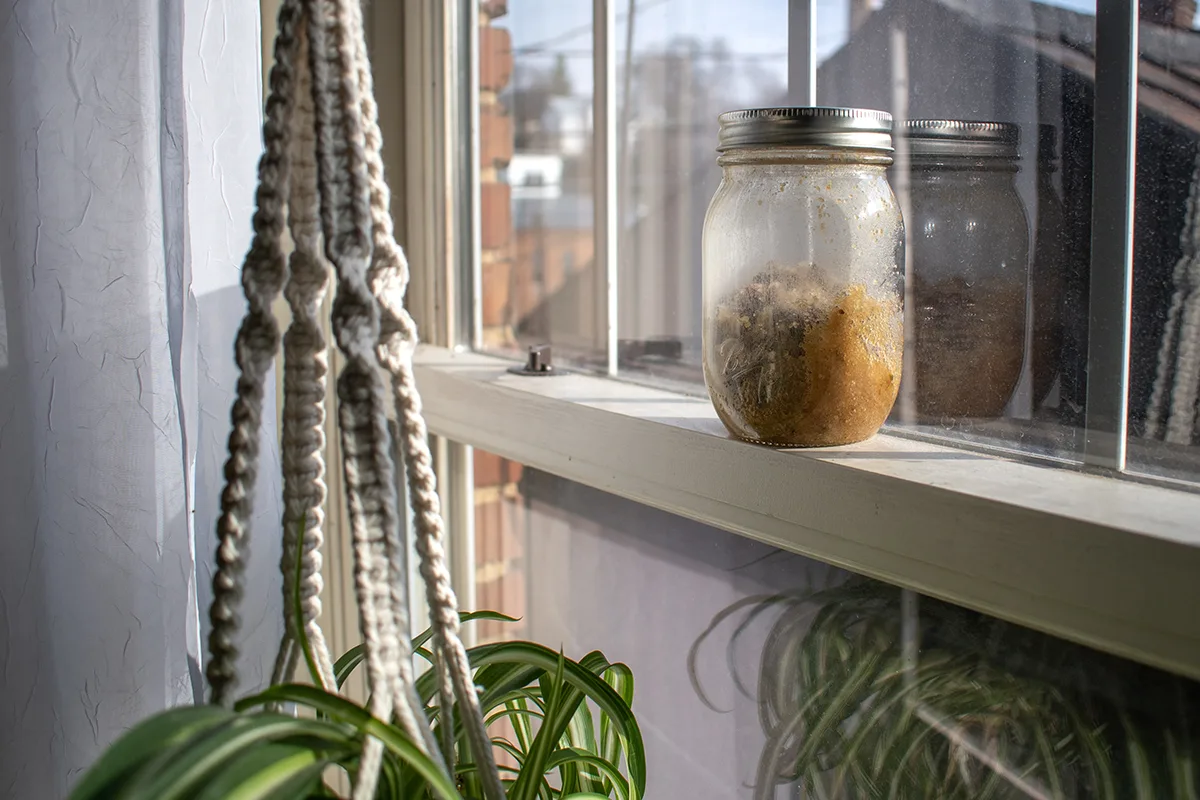 Jar set on a sunny windowsill. 