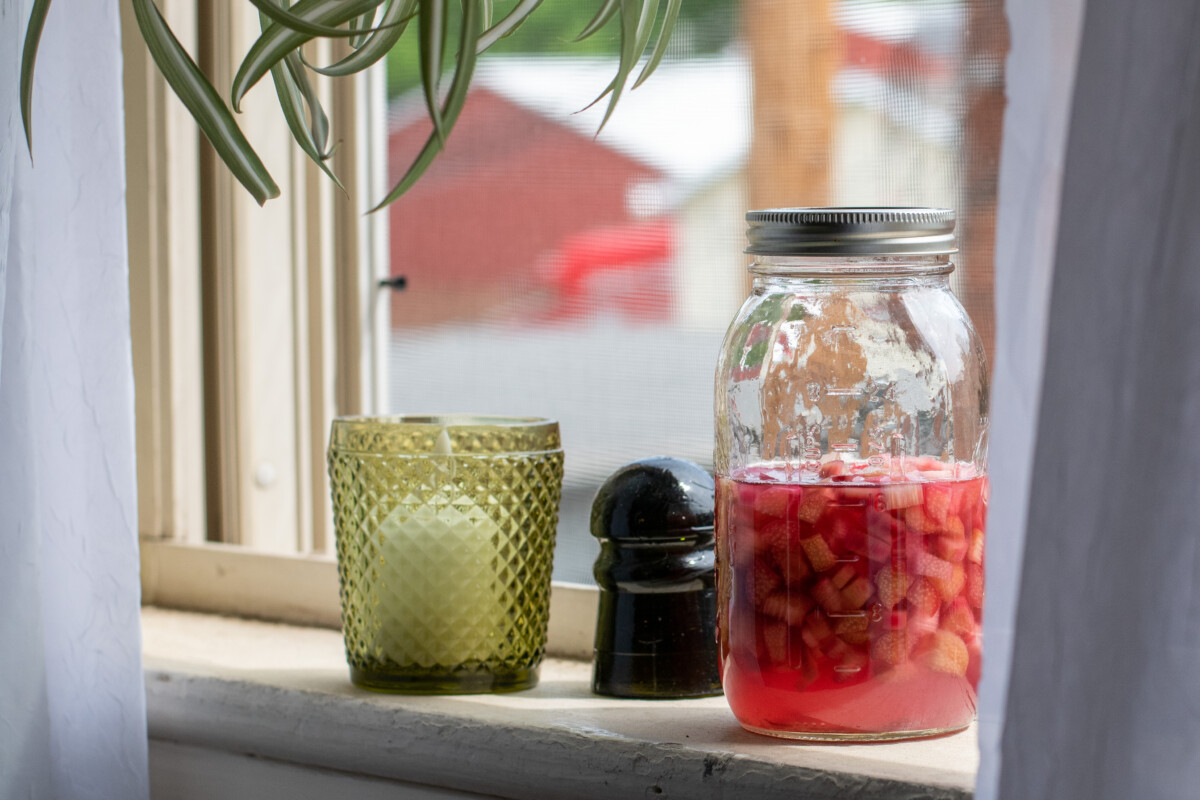Rhubarb cordial in a jar infusing on a windowsill