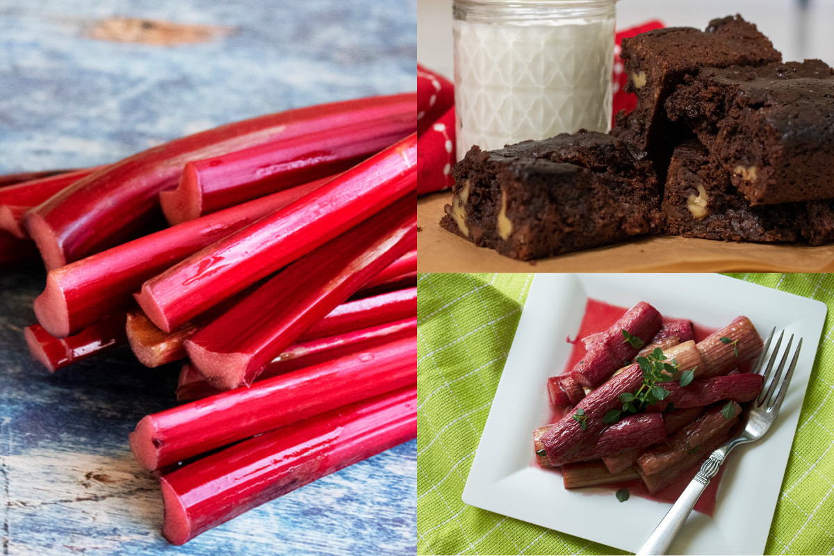 Photo collage of three photos, one of rhubarb stalks, one of rhubarb brownies and a glass of milk and one of a plate of roasted rhubarb.