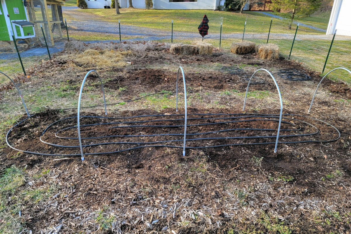 Garden bed laid out with soaker hose.