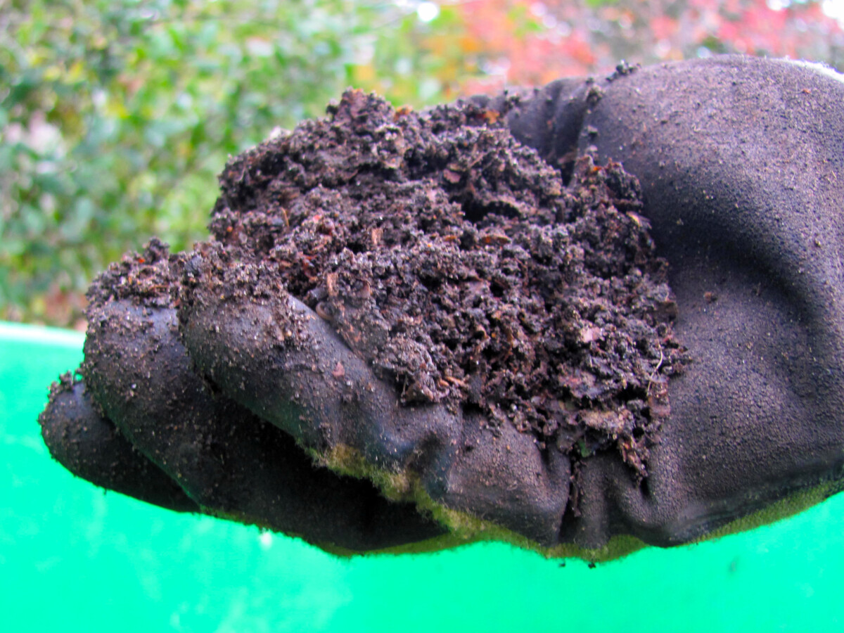 Compost in a gloved hand