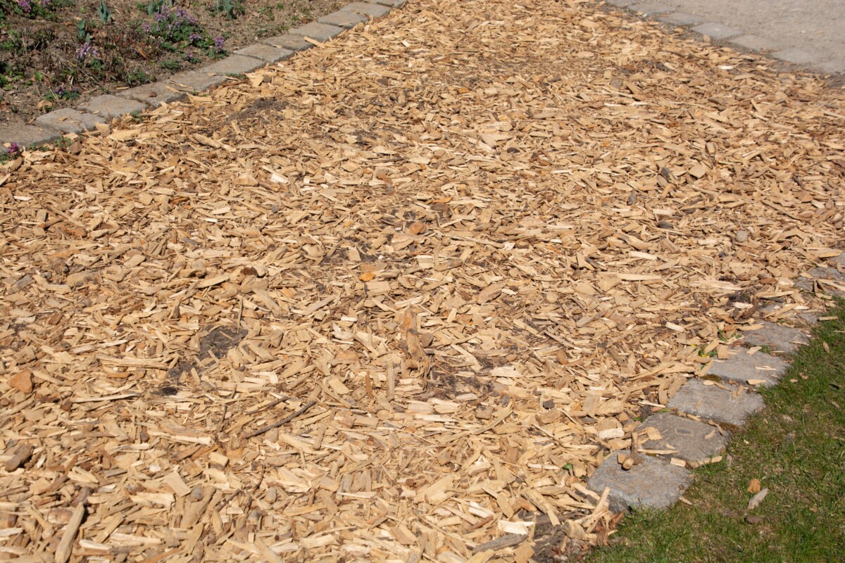 Natural wood chip path