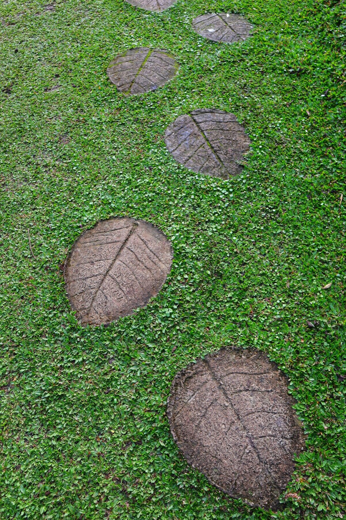 Leaf shaped pavers in yard