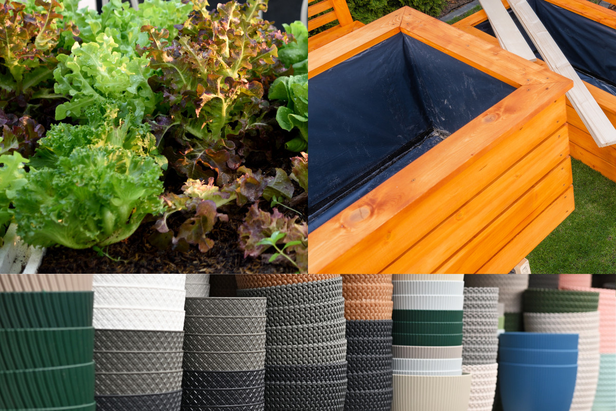 Photo collage of self-watering raised beds, plastic planters and container-grown lettuces.