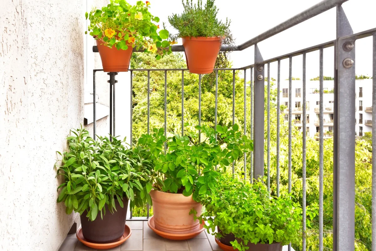 Balcony with small container garden