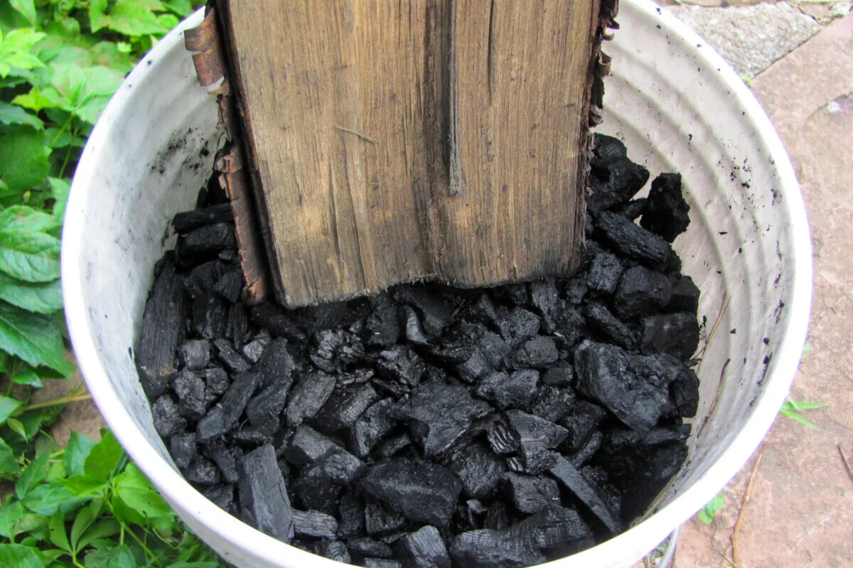 bucket full of wet charcoal and piece of firewood being used to crush the charcoal into smaller pieces
