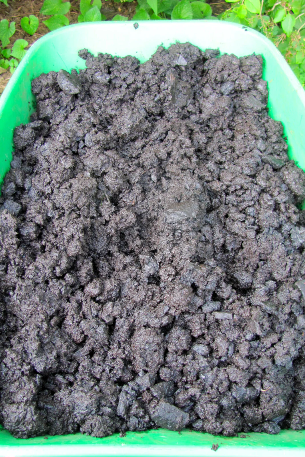 biochar mixed with compost