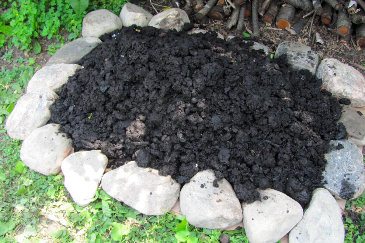 Newly made biochar pile in the shade