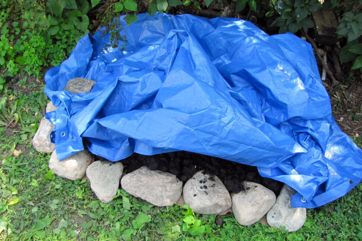 Blue tarp covering a biochar pile