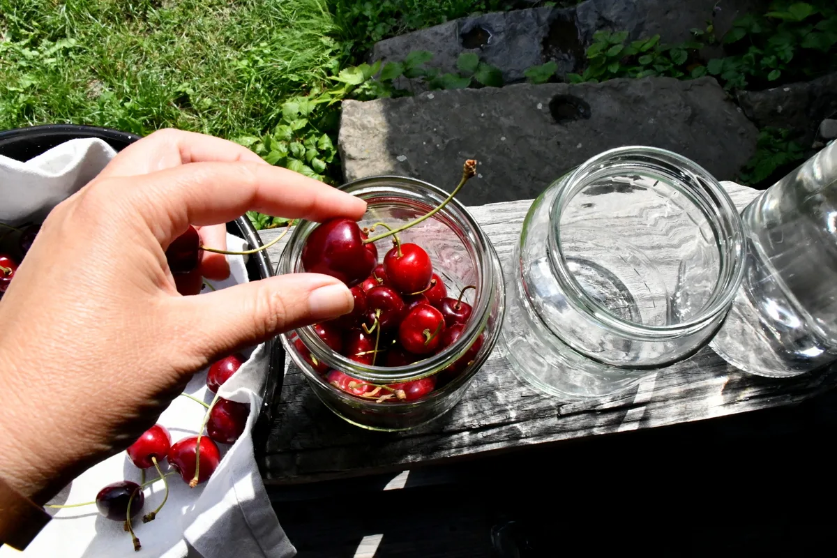 Woman's hand placing cherry in a jar.