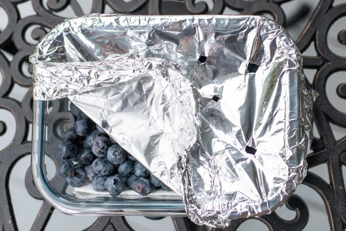 Glass dish filled with blueberries, covered by a sheet of aluminum foil with holes poked in it. 