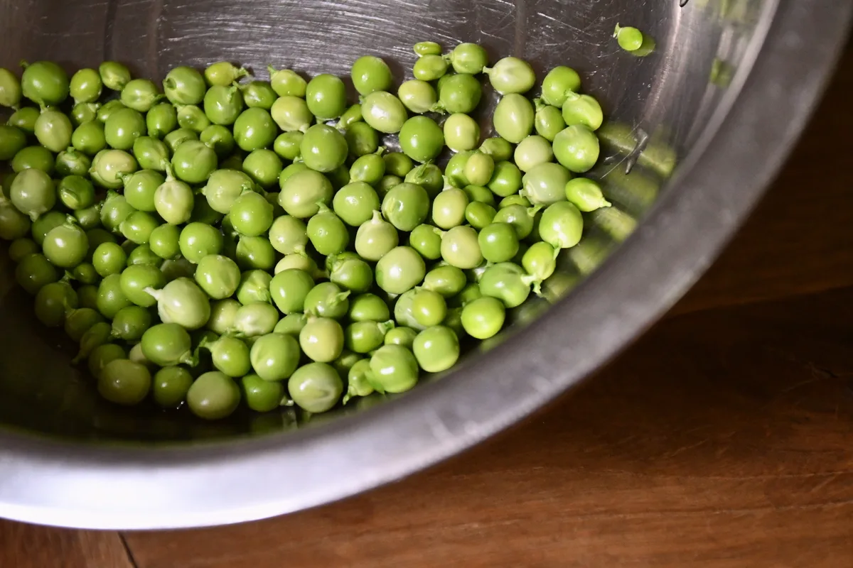 Shelled peas in a stainless steel bowl