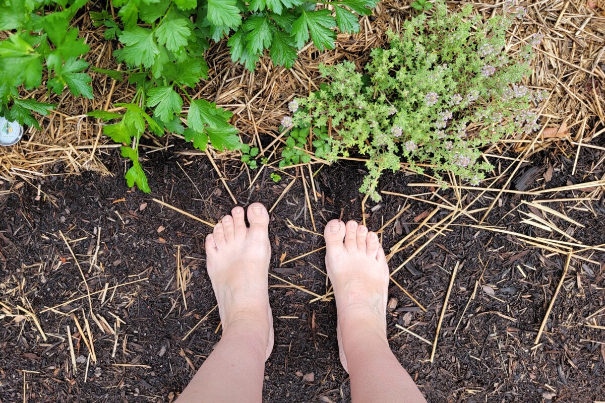 View of someone's bare feet, standing in garden.