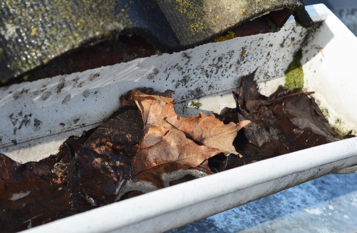 Gutters filled with leaves and water