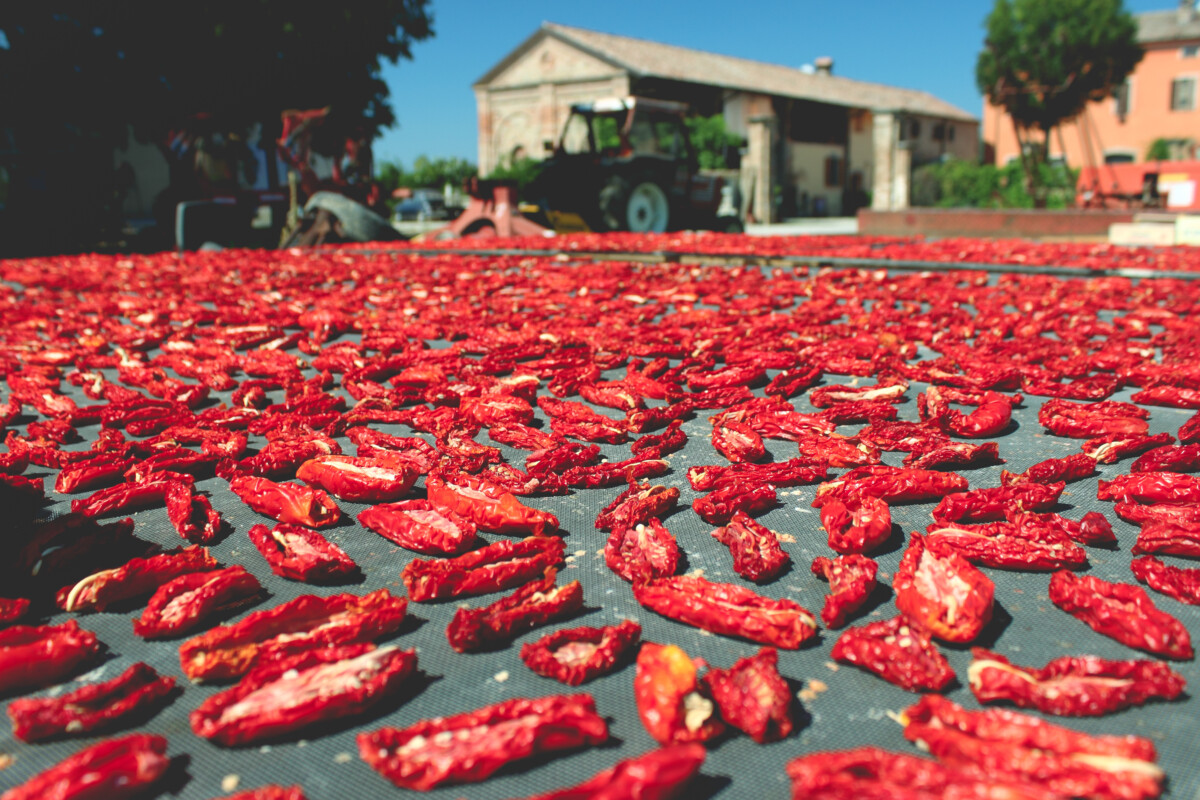sun-drying-tomatoes.jpg