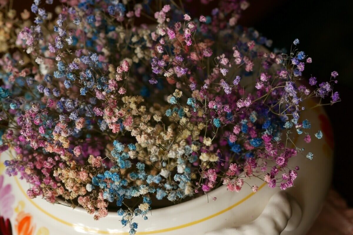 Colored baby's breath on display